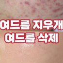 셀디브에스테틱