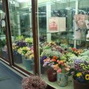 OK 꽃백화점 이미지