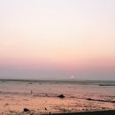 궁평항 낙조 공중화장실 이미지