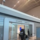 퍼스트덴탈 | 대한한공 인천-하와이행 KE053편 비즈니스 좌석&amp;기내식 후기 :)