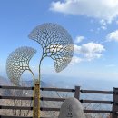 용문산관광지(주차장화장실) 이미지