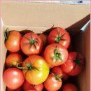 토토농장 이미지