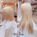 미쓰박 펫 살롱 | 대전붙임머리 싼곳 미쓰박 뷰티살롱 후기/이벤트 할인행사 중~/매월 붙임머리 모델 구함