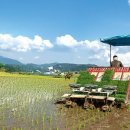 축산채소