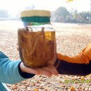 춘식이네 이미지