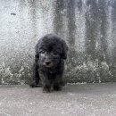 이아이앤테리어 이미지