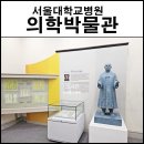 서울대학교병원 의학박물관(휴관) | 서울대학교병원 의학박물관 아이랑 먹거리 쇼핑 코스