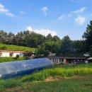 하늘밭농원 이미지