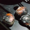 사과향기캠핑장 이미지