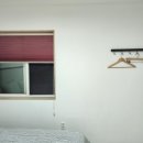 솔리테리 이미지