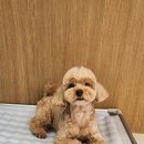 멍데이즈 이미지