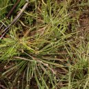 곡정초등학교 이미지