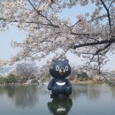 직지사천 | 2023 김천 벚꽃 여행