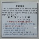 11545-10-25-23 | 임신 일기 23주~25주 임산부 환도선다 당뇨 검사 빈혈 정밀초음파 후기