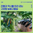 대양로285번길 | [고양] 전통과 역사를 따라 걷는 고양동 높빛고을길