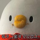 가마치통닭장안휘경주공점 네이버블로그