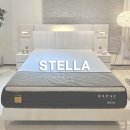 라파스 RAPAZ | 스텔라 STELLA