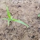 찬민농장 이미지