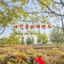 피그랜드 11단지 | 창원 대산플라워랜드 11월 국화 핑크뮬리 명소