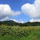 대청웰빙사우나 | 함양 가볼만한곳 , 개평마을 일두고택