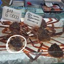 싸다구 초밥 이미지