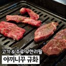 야끼니꾸바 | 하남 미사 맛집 고기집 야끼니꾸규화 무한리필 후기