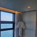 미아모르 | 여수 돌산에서 제대로 쉬고 왔어요｜오션뷰에 반한 미아모르 풀빌라 후기