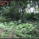 홍산2리 노인회관 이미지