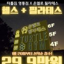 터틀짐