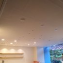 센텀애견샵 이미지