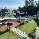 나사항2 이미지