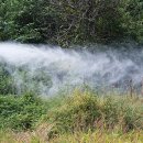 경북농장 이미지