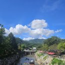 무주하우스 | 무주 내돈내산 또간집ㅣ무주인게스트하우스, 무주구천동맛집 산책 닭도리탕ㅣ계곡평상정보