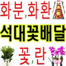 성분도빛둘레지역아동센터 | ◈석대꽃집 아울렛!◈부산석대꽃집석대동'화분 화환 꽃다발'석대꽃배달화원