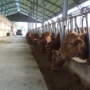 달맞이목장 이미지