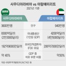[리뷰이야기] 제2의 중동붐 선두주자는 누구? 술값까지 내렸다… UAE·사우디 외국인 유치 경쟁