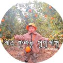 길자농장 이미지