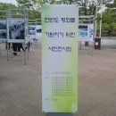 목동기원 Daum카페