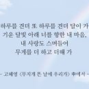 핑크스토리 - 진천군 중앙동6길 20 | 핑크스토리