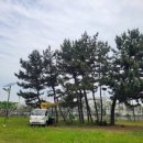 (주)수목조경 이미지