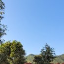 송산칸타빌더센트럴아파트 이미지