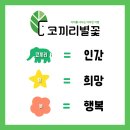 창의미술 이미지