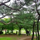 (주)자연환경 이미지