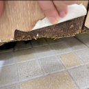 선거관리위원회 화장실 이미지