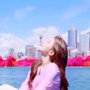 이팝솜사탕 이미지
