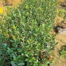 수종농장 이미지