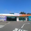 애니카랜드호평점 이미지