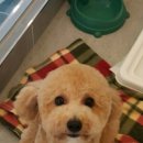 봄나래동물병원 이미지