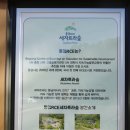 용남면사무소 | [통영가을로그] 절에 가면 그렇게 마음이 편해져😌 ➌ 미래사 + 세라트라숲 + 금랑