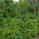 풍요의 정원 이미지